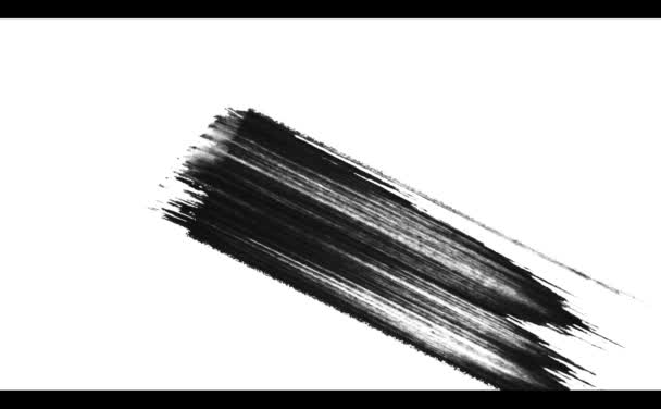 Strokes of black paint on white .Texture or background — Stock Video