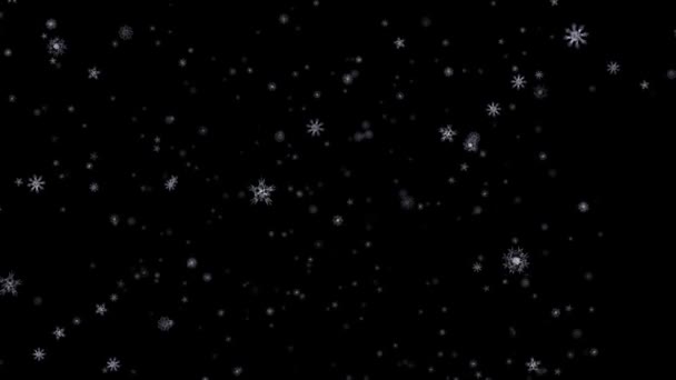 Falling white patterned snowflakes on black background HD 1920x1080 — Stock Video