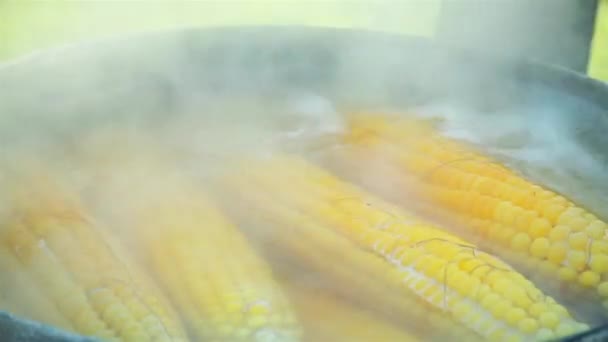Hand opent witte deksel stevig en sluit vervolgens zwarte pot met gekookte maïs Hd 1920x1080 — Stockvideo
