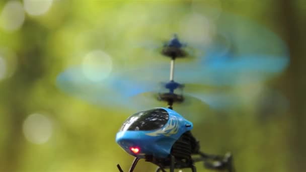 Helicóptero azul RC paira no ar na floresta Parque área HD — Vídeo de Stock