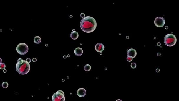 Летающие мыльные пузыри с красными сердцами внутри на черном фоне — стоковое видео