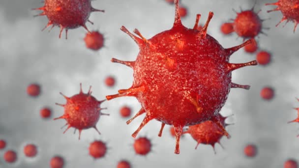 Nuovo virus influenzale al microscopio da vicino in rosso in movimento HD 1920x1080 — Video Stock