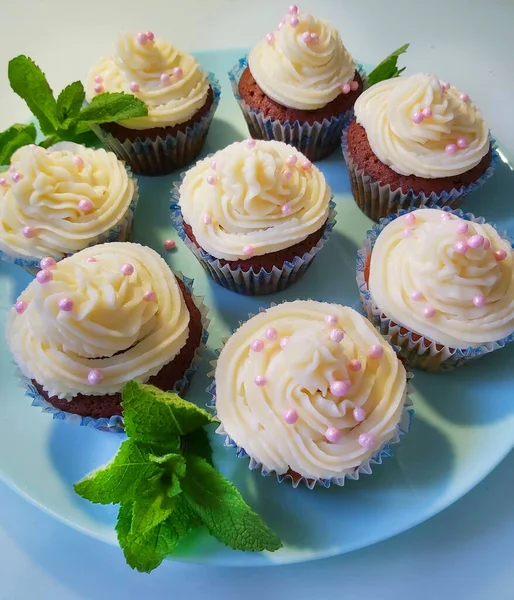 Cupcakes de menta dulce con crema.Textura o fondo —  Fotos de Stock