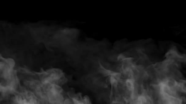 Langzame beweging van witte rook op een zwarte achtergrond — Stockvideo