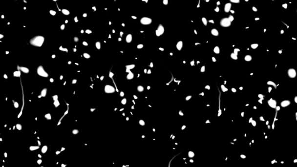 Smidigt kaotiskt utseende av vita slingor — Stockvideo