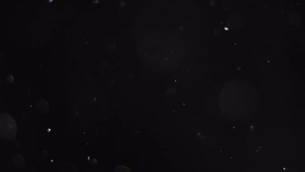 Siyah arkaplan üzerinde odaklanmamış yuvarlak röflelerin pürüzsüz hareketi — Stok video