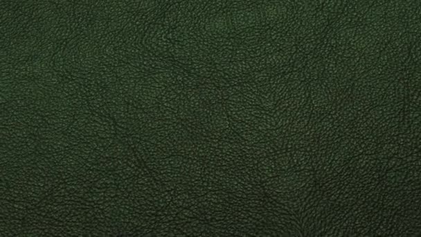 Moving green faux leather background HD — Stock Video