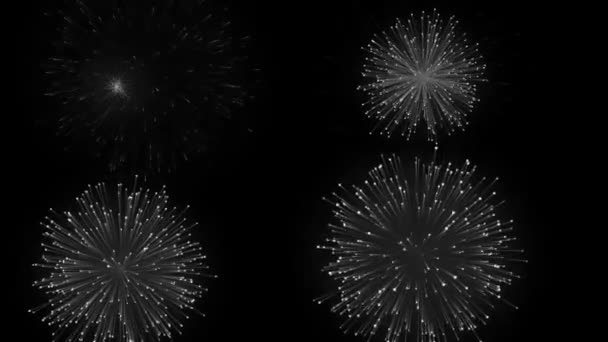 Exploderande fyrverkerier i svart och vitt på en svart skärm HD 1920 — Stockvideo