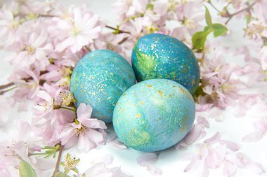 Bir havlu paskalya boyalı yumurta bir yuva şeklinde katlanır. Beyaz arka planda mavi-yeşil tonları. Paskalya tatilinin teması. Yalıtılmış nesneler