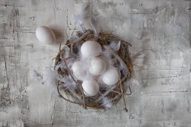 Hafif arka planda tüyleri ile Yuva tavuk beyaz yumurta