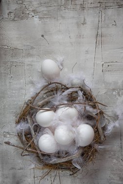 Hafif arka planda tüyleri ile Yuva tavuk beyaz yumurta
