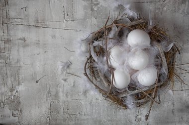 Hafif arka planda tüyleri ile Yuva tavuk beyaz yumurta