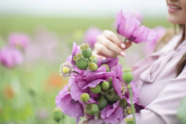 Fält med lila vallmo. Flicka i fältet samla blommor — Stockfoto