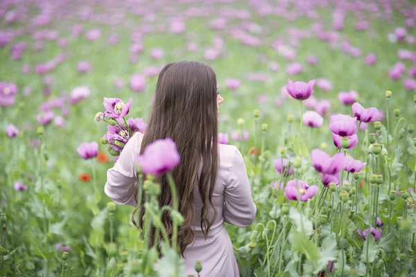 Feld mit lila Mohn. Mädchen auf dem Feld sammelt Blumen. — Stockfoto