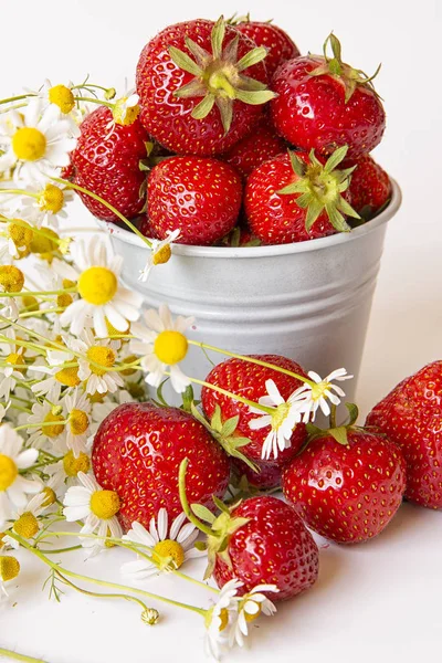 Scattered strawberry berry and in a small bucket on a light background with a bouquet of chamomile flowers . Summer berry season. — Stock Photo, Image