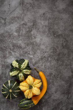 Sonbahar hasadı. Koyu bir arka plan üzerinde farklı çeşitleri dekoratif kabaklar.üst görünümü.