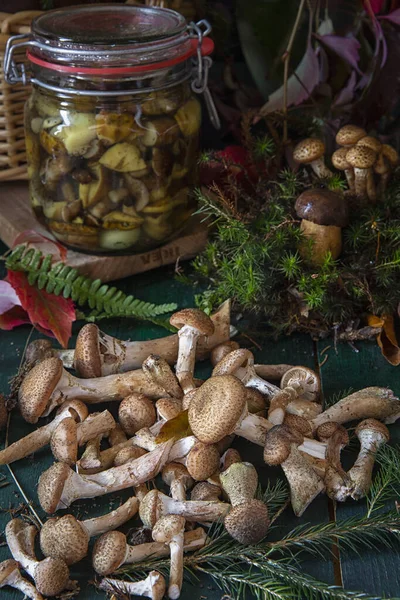 Colheita de cogumelos sazonal. Preparativos para o inverno, fazendo marinadas caseiras. Cogumelos marinados em um jarro de vidro que está em uma mesa de madeira com cogumelos. Floresta no outono . — Fotografia de Stock