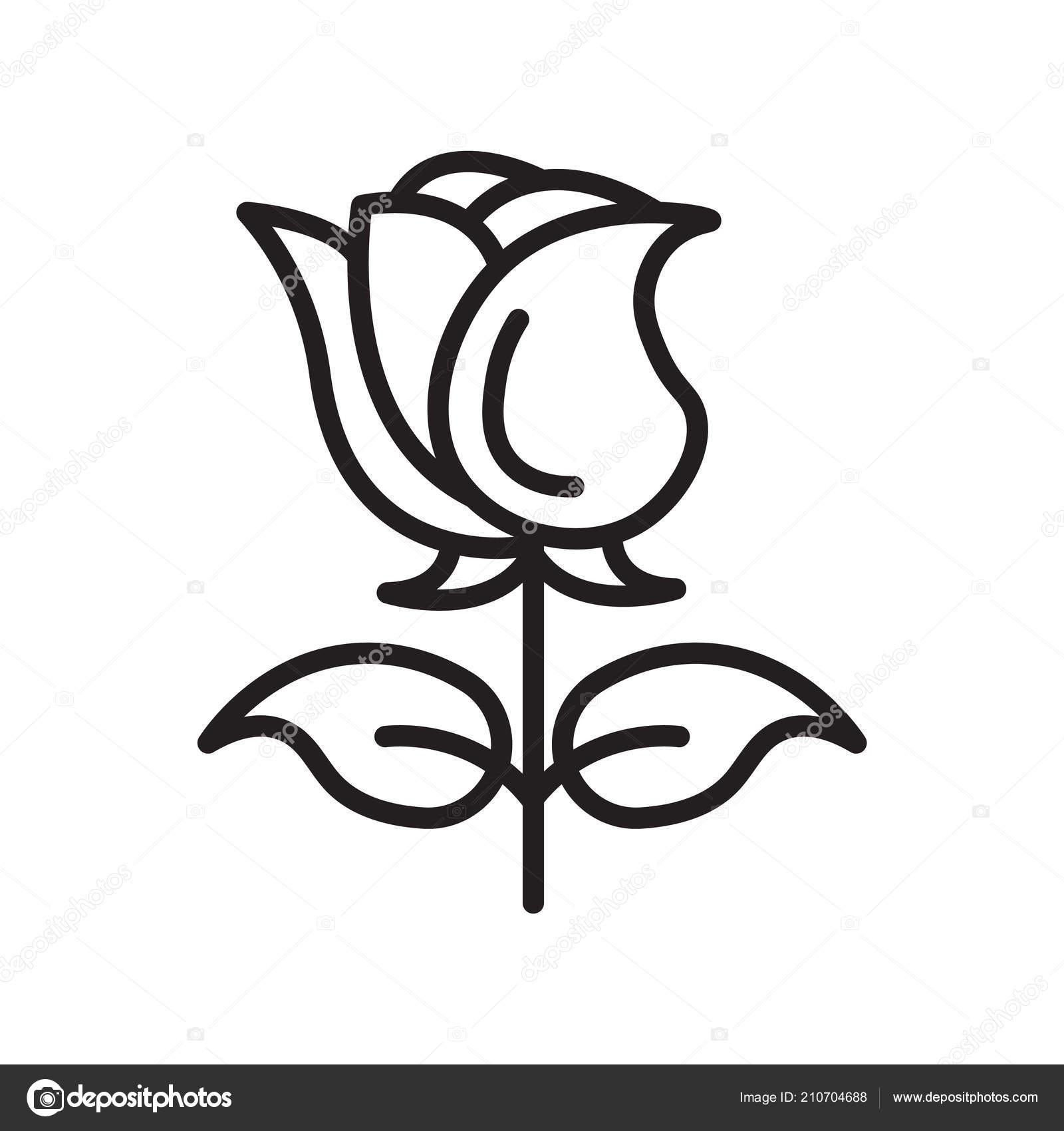 Rose Icon Vector Sign And Symbol Isolated On White Background R Stock Vector C Provectorstock
