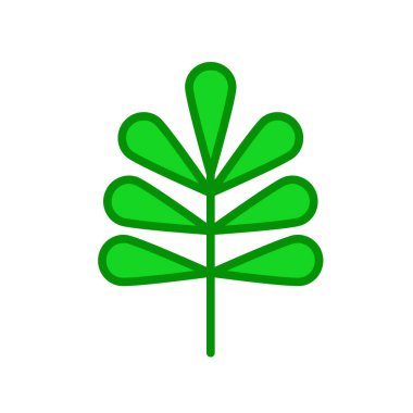 Cevizli yaprak simge vektör işareti ve üzerinde beyaz backgro izole sembolü