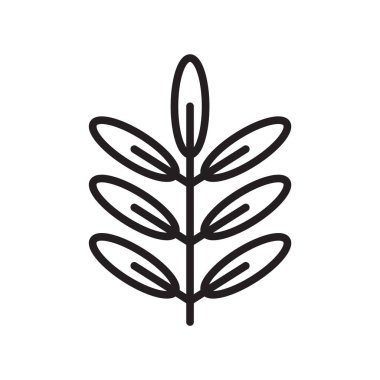 Akasya simge vektör işareti ve beyaz arka plan üzerinde izole sembolü,