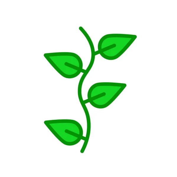 Perfoliate Icon Vector Izolat Fundal Alb Pentru Web Mobile App — Vector de stoc