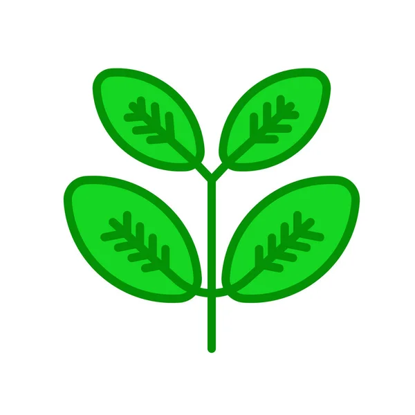 Icône de saule noir signe vectoriel et symbole isolé sur fond blanc — Image vectorielle