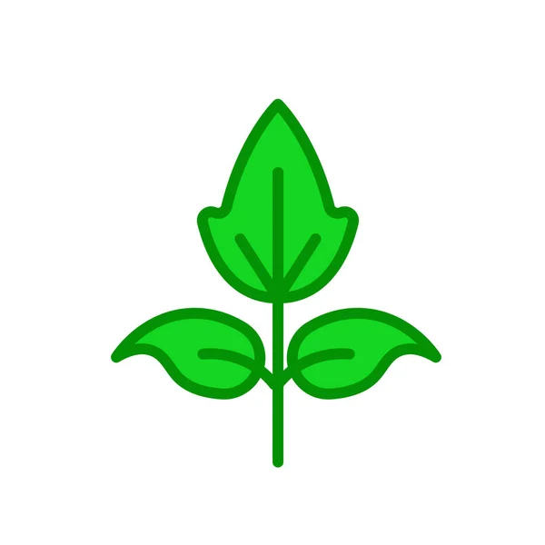Raspberry leaf pictogram vector teken en symbool geïsoleerd op witte bac — Stockvector