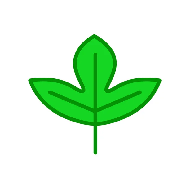 Sassafras icône de feuille signe vectoriel et symbole isolé sur bac blanc — Image vectorielle
