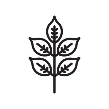 Yaprak simge vektör işareti ve beyaz arka plan üzerinde L izole sembolü