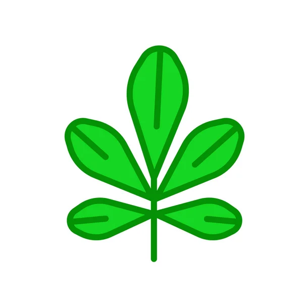Kastanj leaf ikonen vektor logga och symbol isolerade på vit baksida — Stock vektor