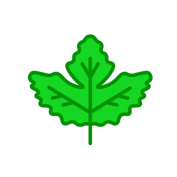 Gooseberry hoja icono signo vectorial y símbolo aislado en ba blanco — Vector de stock