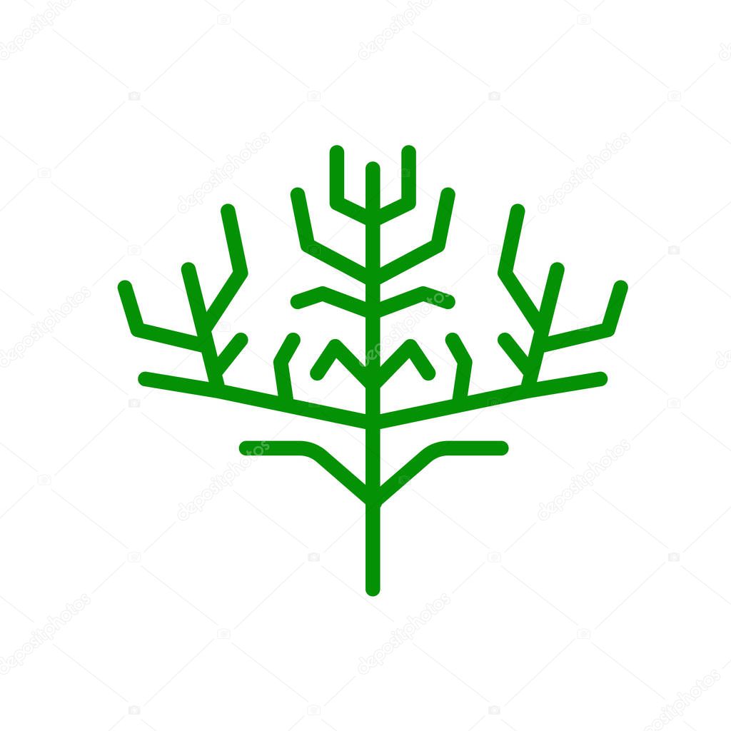 Cypress leaf icon vector isolated on white background for your web and mobile app design, Cypress leaf logo concept