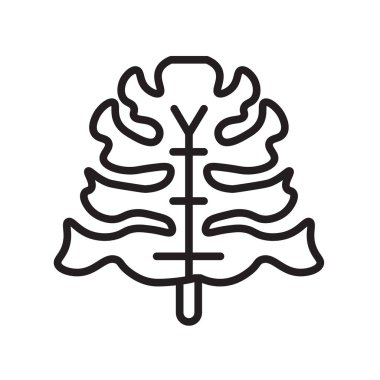 Pedunculate simge vektör işareti ve üzerinde beyaz backgr izole sembolü