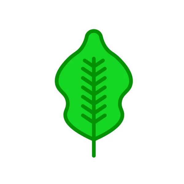 Icona di betulla segno vettoriale e simbolo isolato su sfondo bianco , — Vettoriale Stock
