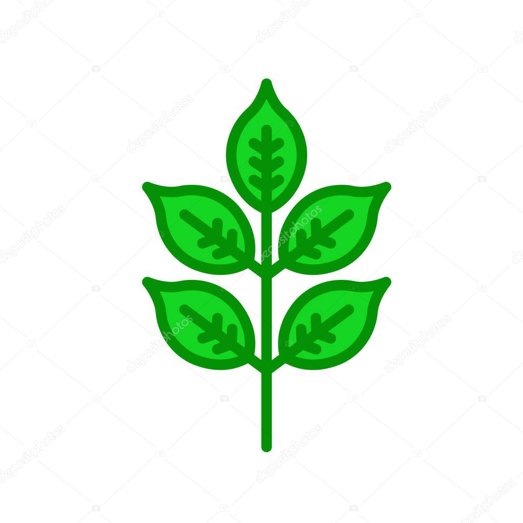Leaf icon vector isolated on white background for your web and mobile app design, Leaf logo concept