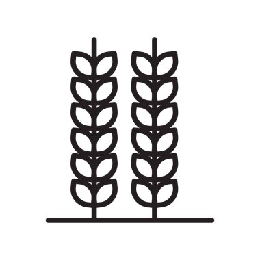 Web ve mobil uygulaması tasarım, buğday logo kavramı, anahat simgesini, doğrusal işareti, anahat simgesini, doğrusal işareti için beyaz arka plan üzerinde izole buğday simge vektör