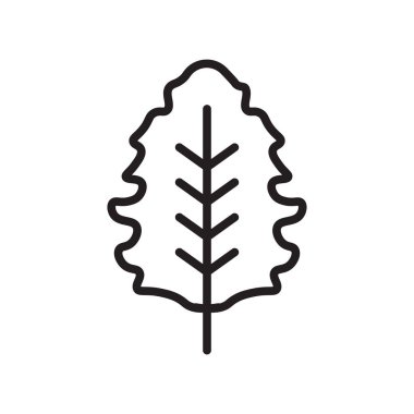 Meşe simge vektör işareti ve beyaz arka plan üzerinde Oa izole sembolü