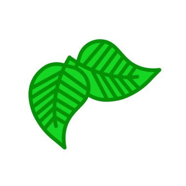 Huş ağacı yaprak simge vektör işareti ve üzerinde beyaz backgro izole sembolü