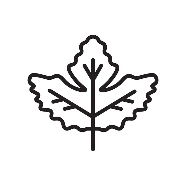 Icône de feuille de groseille signe vectoriel et symbole isolé sur ba blanc — Image vectorielle