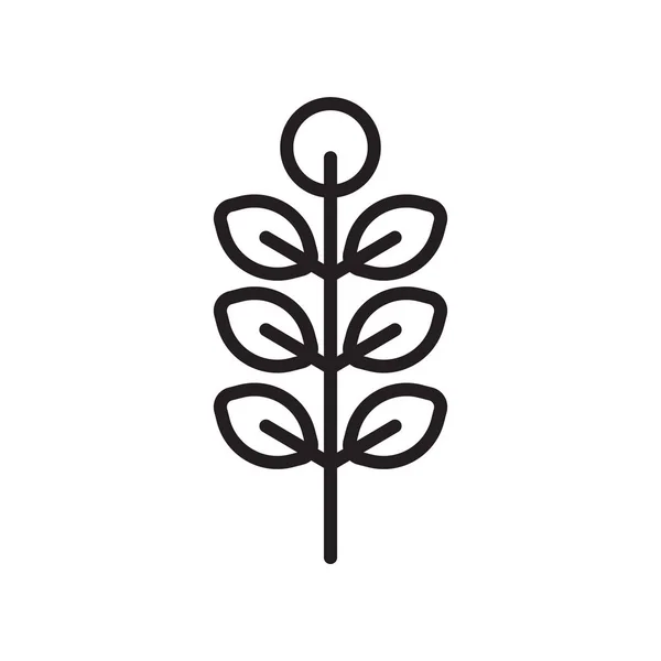 American Mountain Ash icono signo vectorial y símbolo aislado en wh — Vector de stock