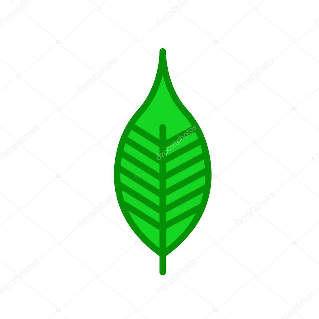 Cherry leaf icon vector isolated on white background for your web and mobile app design, Cherry leaf logo concept