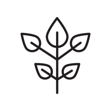 Kayın simge vektör işareti ve beyaz arka plan üzerinde izole sembolü, 