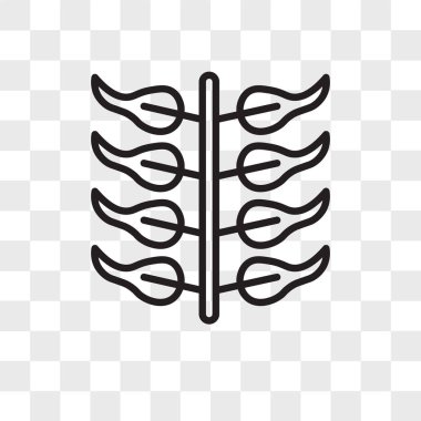 Saydam arka plan üzerinde yaprak logosu d izole yaprak vektör simgesi