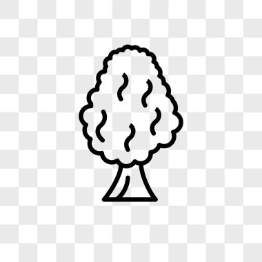 Saydam arka plan üzerinde ağaç logo tasarımı izole ağaç vektör simgesi