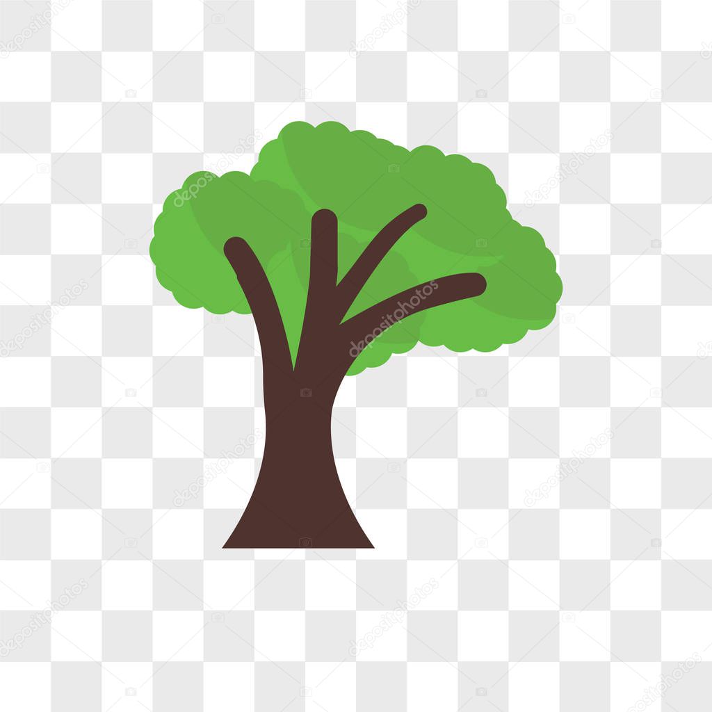 Tree vector icon isolated on transparent background, Tree logo concept
