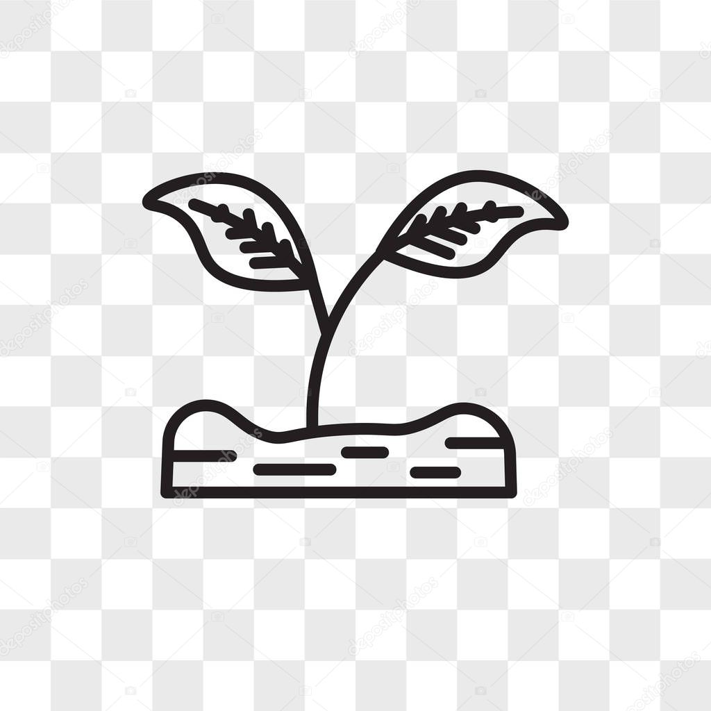 Sprout vector icon isolated on transparent background, Sprout logo concept
