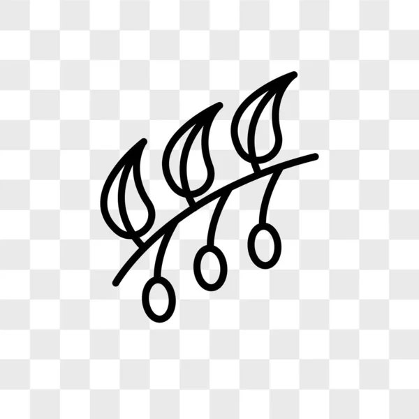 オリーブ ベクトルのアイコンが透明な背景、オリーブのロゴの設計の分離 — ストックベクタ