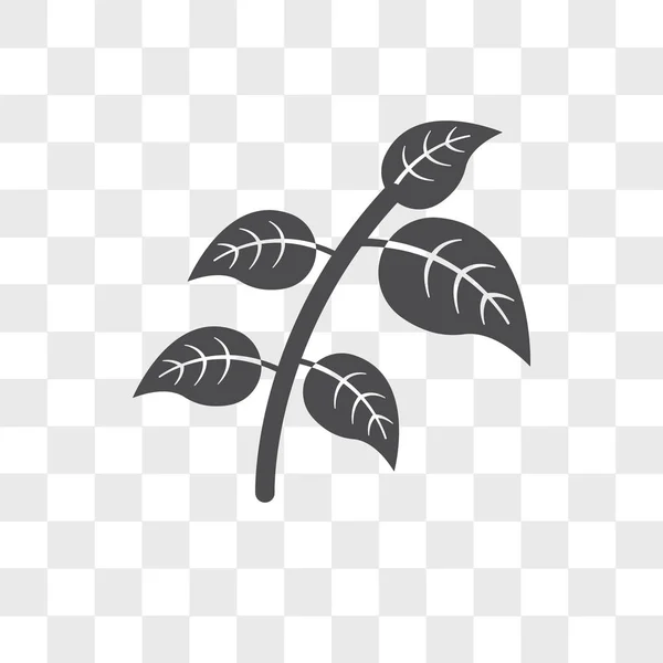 Növényi, elszigetelt átlátszó háttér, növényi logó vektoros ikon — Stock Vector
