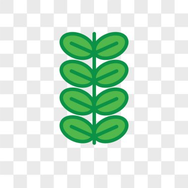 Saydam arka plan üzerinde Briar izole briar yaprak vektör simgesi