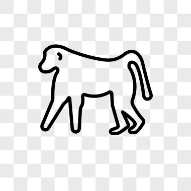 babun vektör simgesi üzerinde şeffaf izole arka plan, babun lo